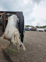 1999-2010 Ford Super Duty F250 F350 6' 9" Short Truck Bed