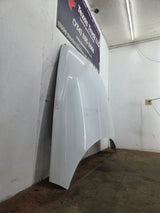 1994-2002 Dodge Ram 2nd Gen 1500 2500 3500 Hood