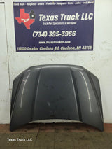 2015-2020 Ford F150 Hood