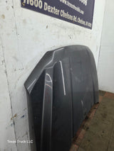 2015-2020 Ford F150 Hood