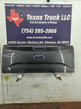 2015-2017 Ford F150 Tailgate - Magnetic