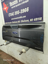 2015-2017 Ford F150 Tailgate - Magnetic